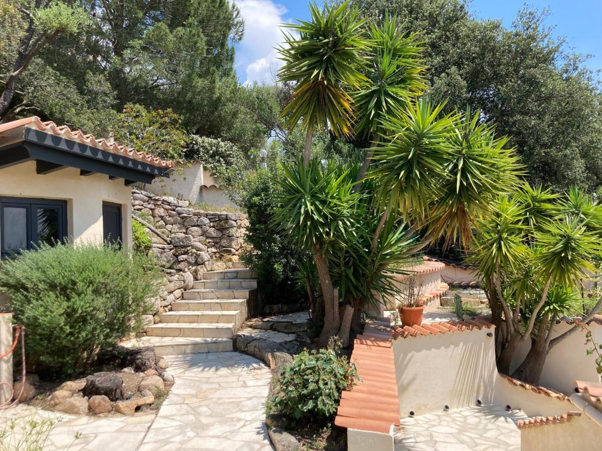 Chez Jean Claude La Villa Des Amis Olmeto  Extérieur photo